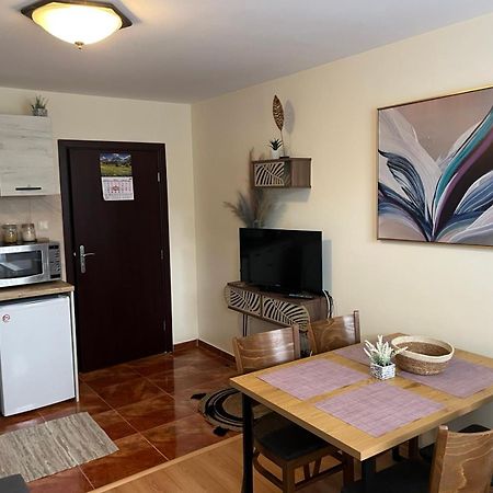Apartment Ana/ Апартамент Ана Παμπόροβο Εξωτερικό φωτογραφία