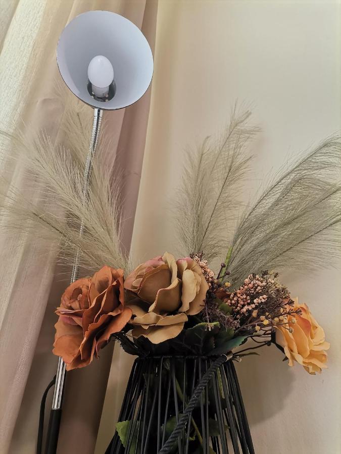 Apartment Ana/ Апартамент Ана Παμπόροβο Εξωτερικό φωτογραφία